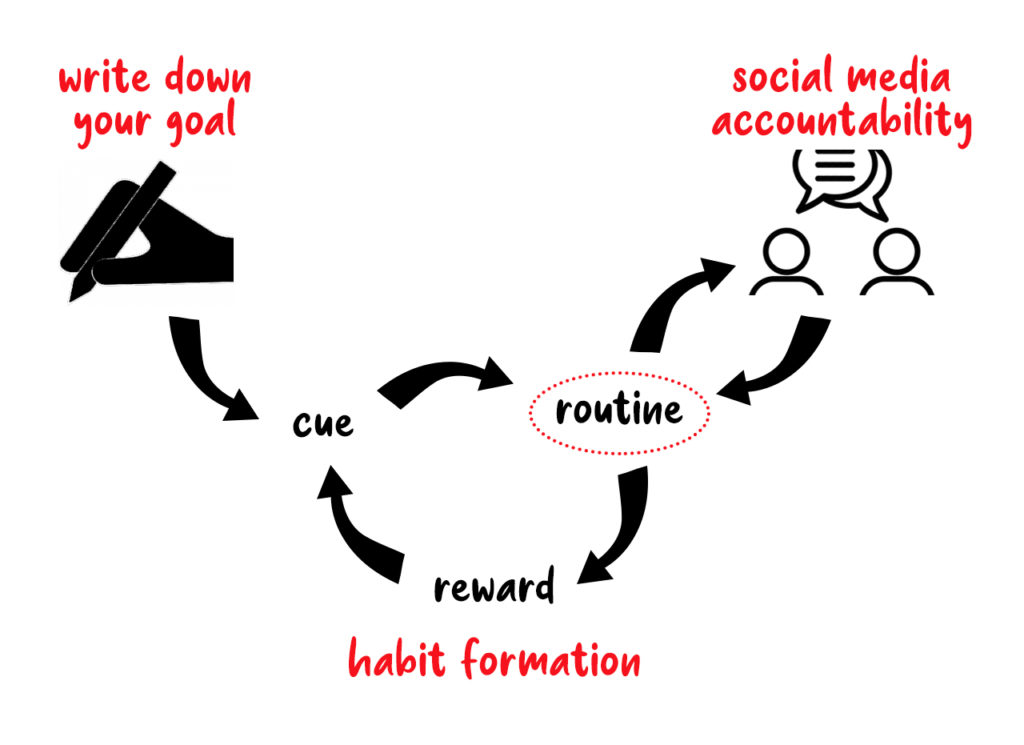 Social Media Accountability Loop for more productivity
