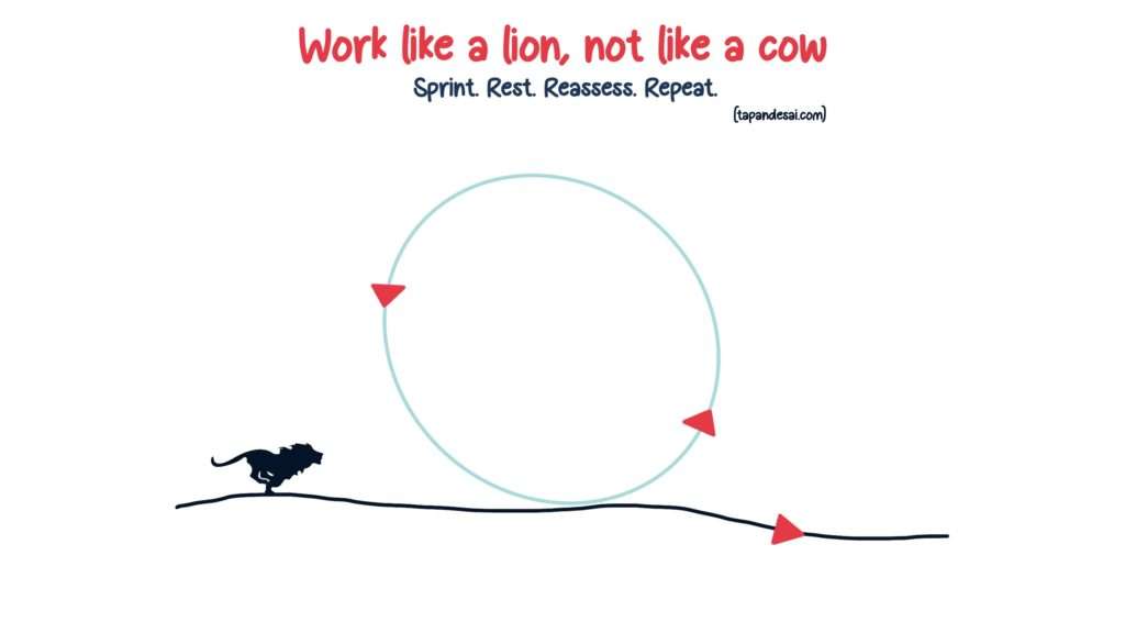 An image explaining Naval's framework of work like a lion, not like a cow.