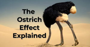 An image showing an ostrich burying it's head in the sand for an article explaining ostrich effect and real-life examples explaining the effect.